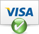 Accepting Visa