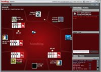Bodog Poker Download