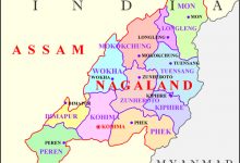 Nagaland Issues First Online Poker License in India